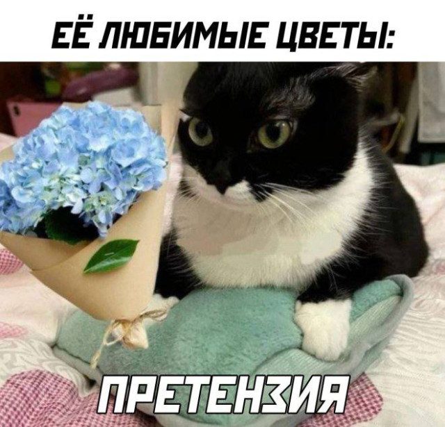 Чуть-чуть смешных картинок, чтобы не грустить перед работой