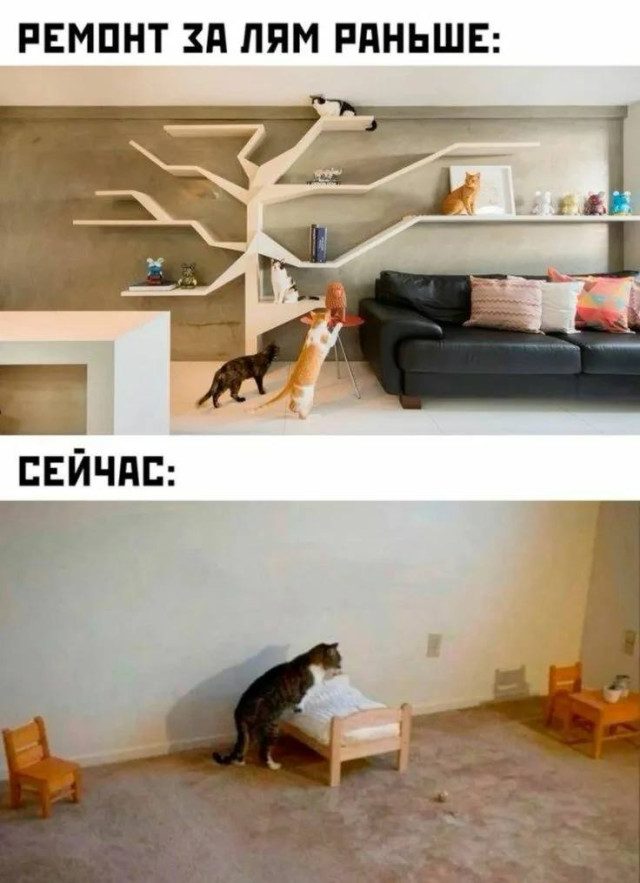 Мемы о сложностях взрослой жизни