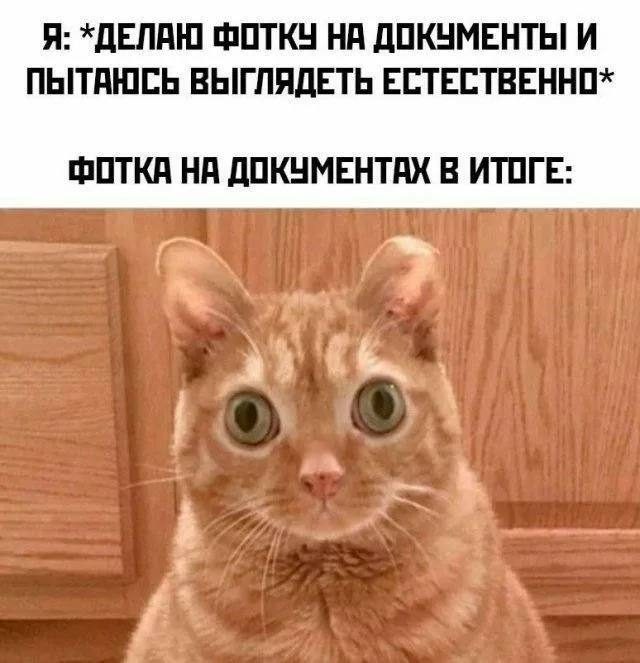 Мемы о сложностях взрослой жизни