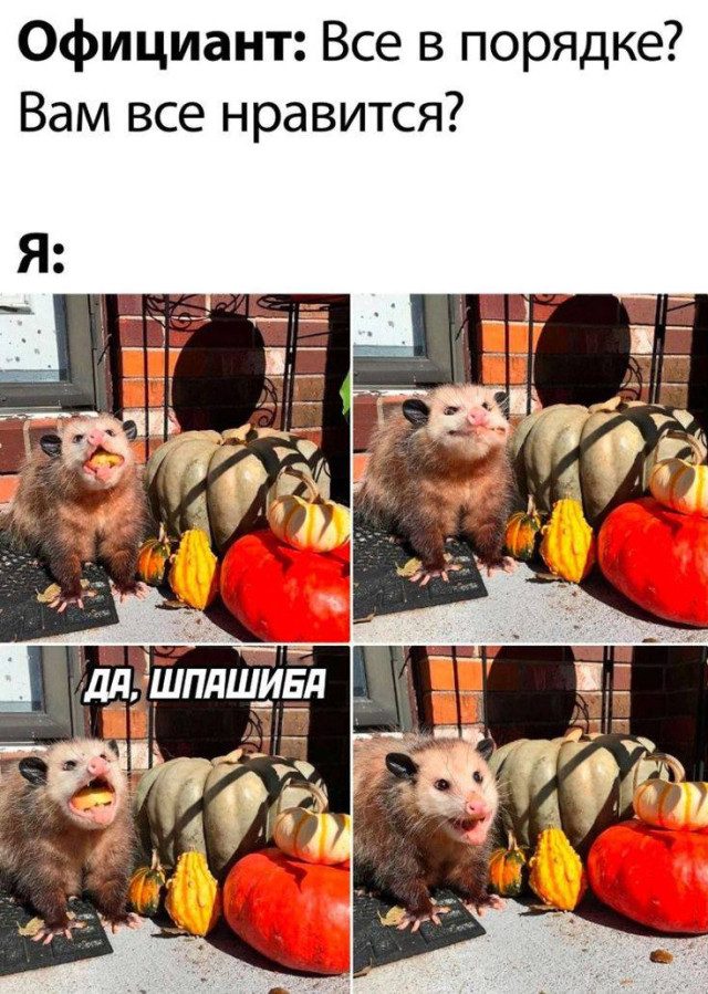 Чуть-чуть смешных картинок, чтобы не грустить перед работой