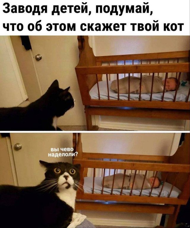 Мемы о детях