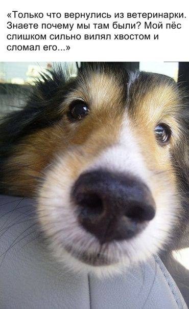 Хорошие мемы с хорошими мальчиками