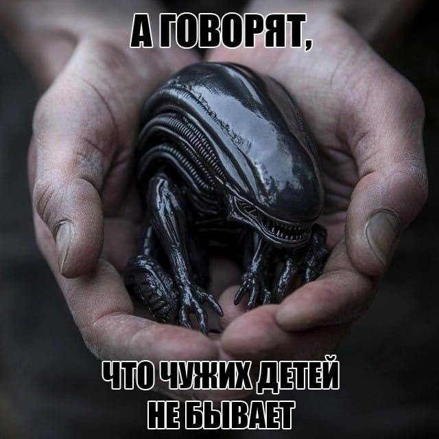 Новая порция приколов и мемов