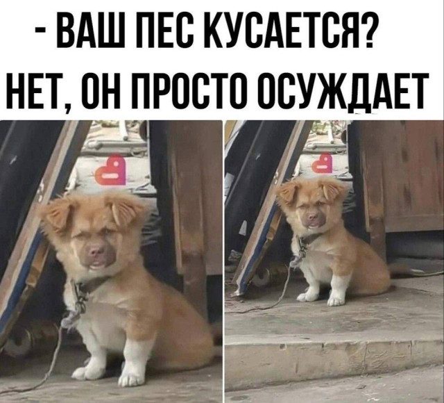 Хорошие мемы с хорошими мальчиками