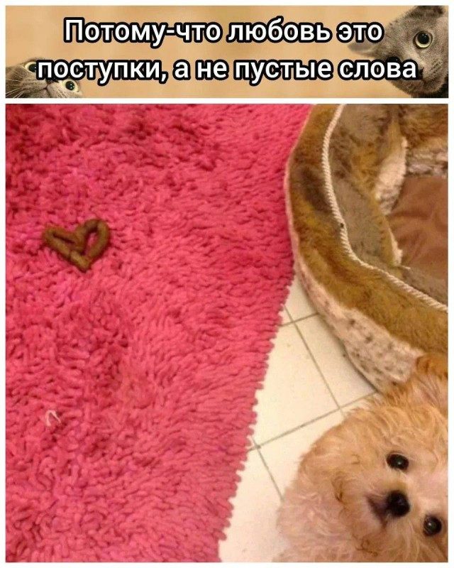 Хорошие мемы с хорошими мальчиками