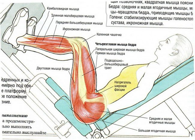 Накачиваем ягодицы как у бразильянок