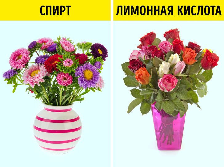 Эффективные способы оживить цветы