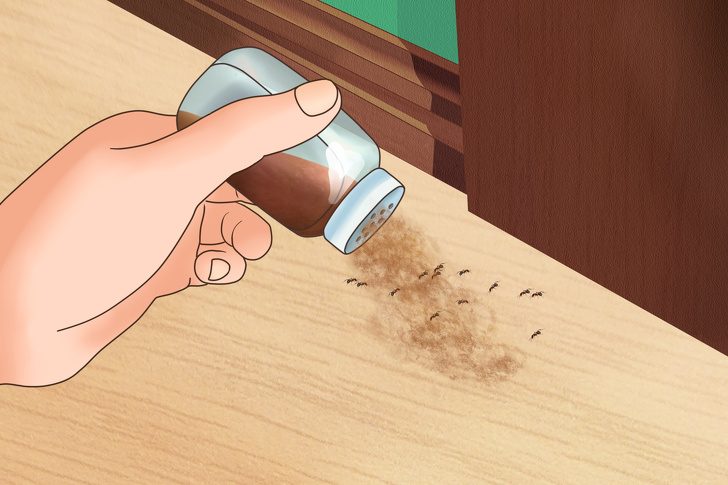 Как избавиться от насекомых в вашем доме