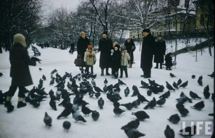 Маленькие москвичи в начале 1960-х