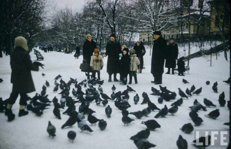 Маленькие москвичи в 1960-х