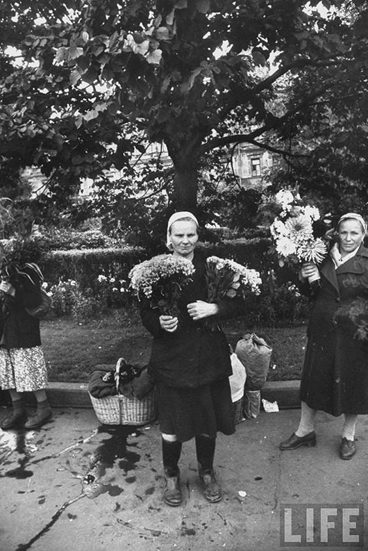 Москвички в 1956 году