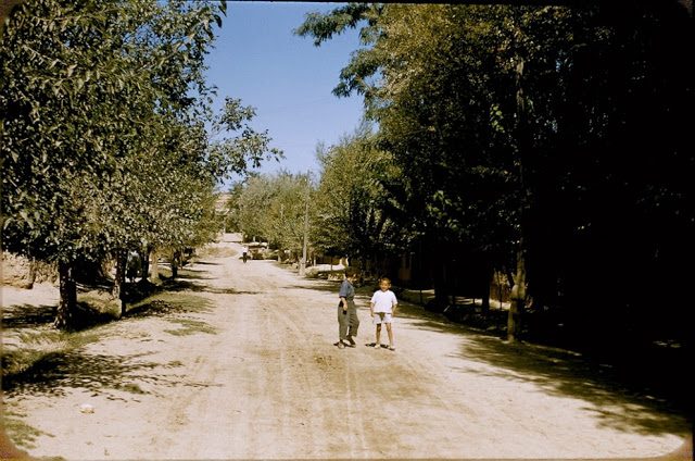 Повседневная жизнь Узбекистана в 1956 году