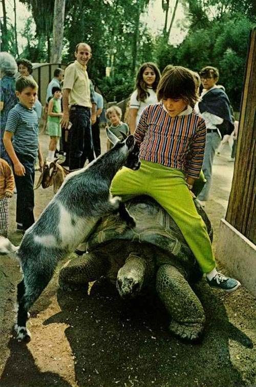 7 опасных забав детей 1970-х