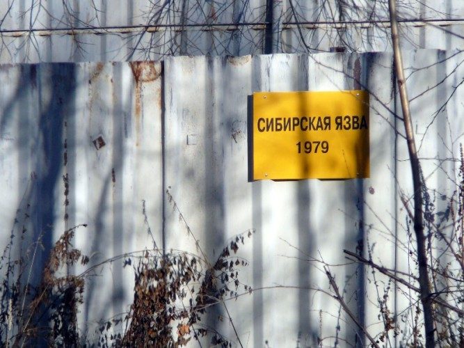 Правда и мифы об эпидемии сибирской язвы в СССР