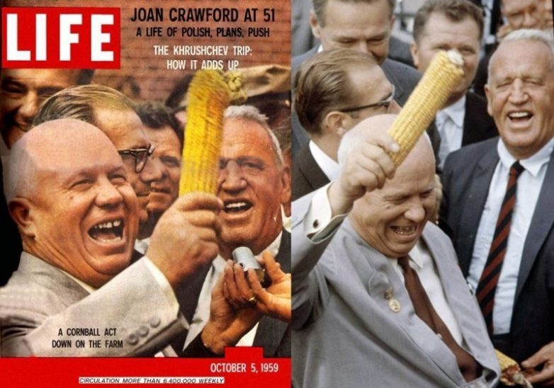 Как «царица полей» кукуруза разорила СССР
