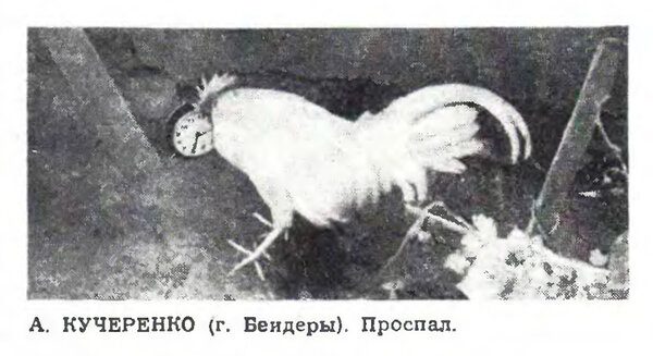Смешные фото из СССР