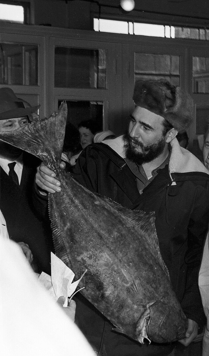 История о том, как Фидель Кастро посетил Советский Север