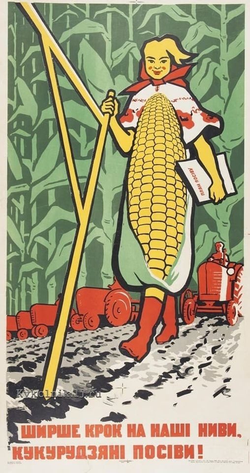 Хрущёв и кукуруза. Как это было