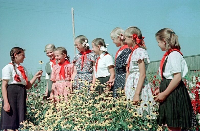 Удивительно красивые снимки Минска 50-60-х годов