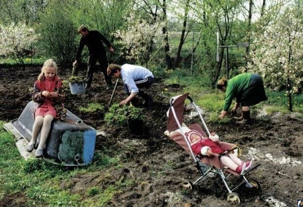 Какими были советские дачи на самом деле?