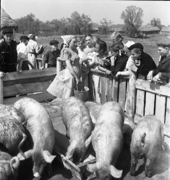 Советский Союз в 1957 году. Страна росла и процветала