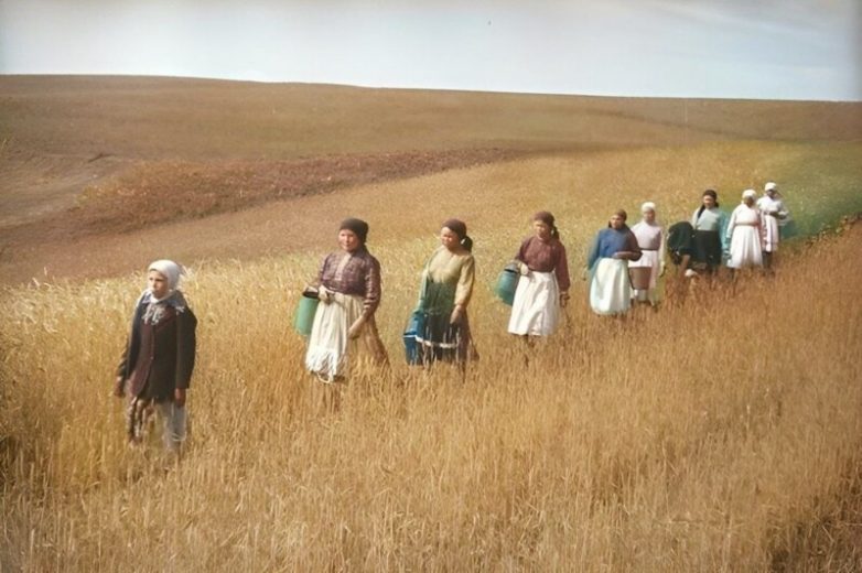 Колхозная жизнь Советского Союза
