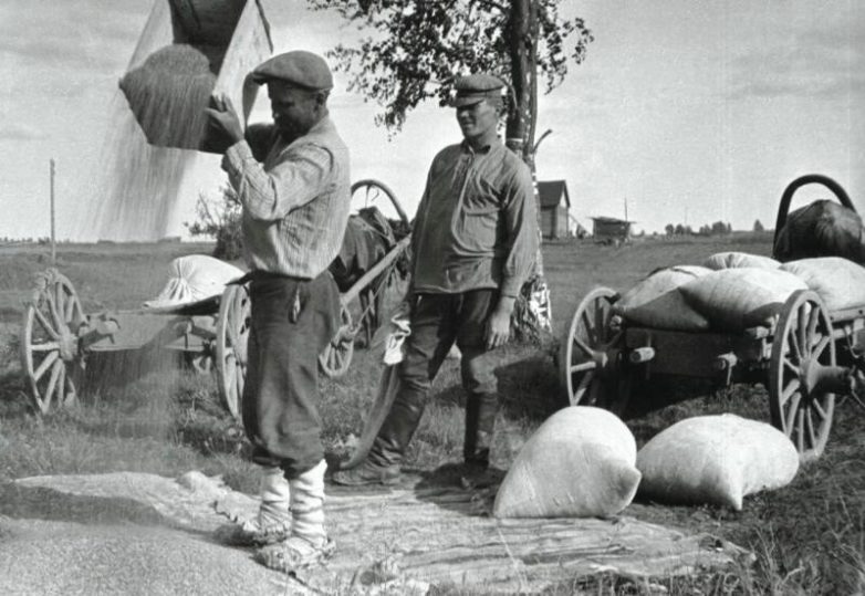 Советская деревня в фотографиях Аркадия Шишкина