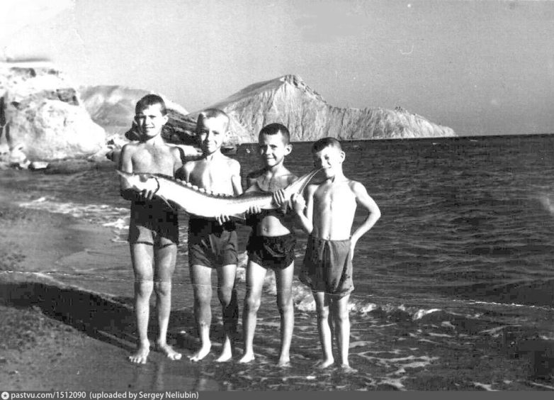 Крым 1962 года