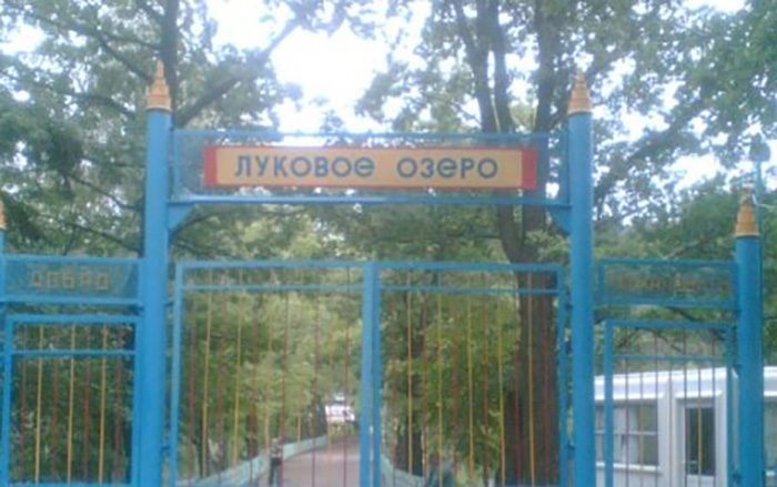 Почему до сих пор засекречено происшествие в детском лагере «Луковое озеро»
