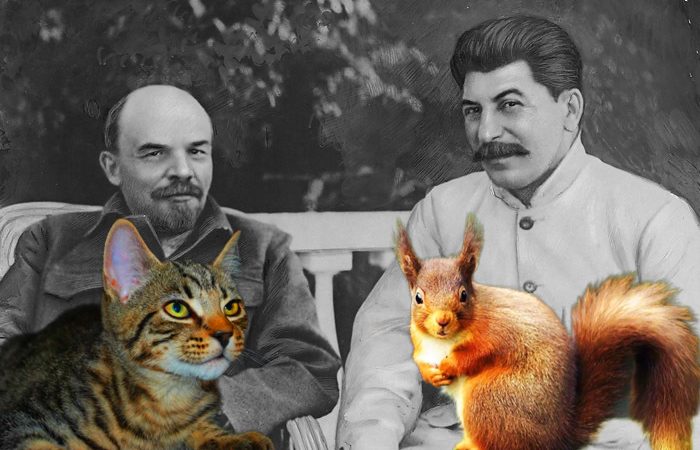Каких питомцев держали дома советские Генсеки