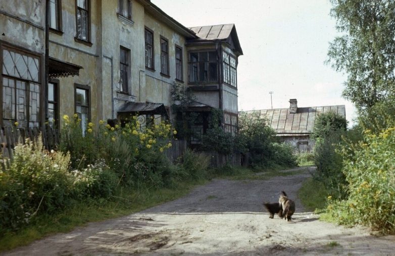 Ленинград 1980 года