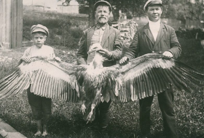 СССР 1935 года