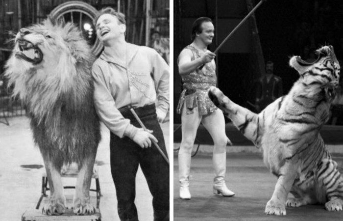 Как Галина Брежнева спасла Игоря Запашного от расстрела