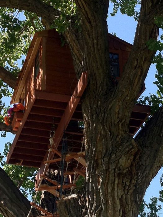 Строительство детского домика на дереве