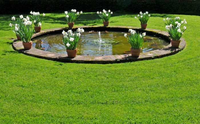 Идеи оформления водоёма в саду