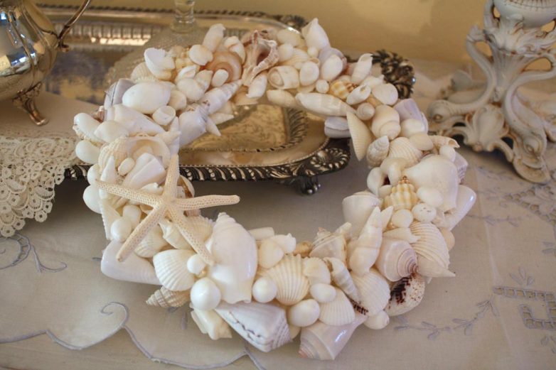 Изящество морских раковин
