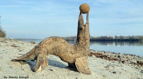 Деревянные скульптуры, созданные из того, что прибило к берегу