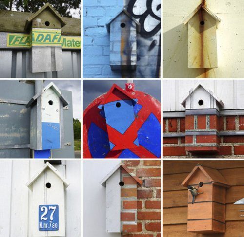 Художник строит скворечники, чтобы птицы не улетали из городов