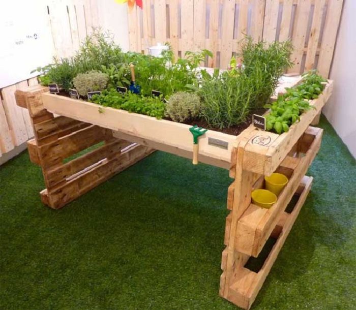 Невероятные идеи для создания мини-сада в домашних условиях