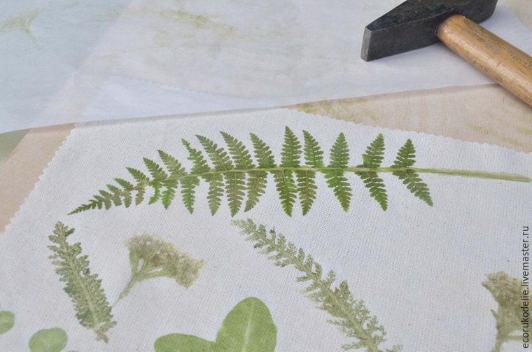 Делаем  отпечатки растений на ткани