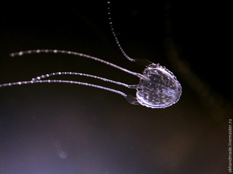 Серьги-медузки