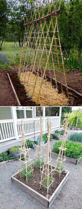 Интересные идеи оформления дома при помощи бамбука