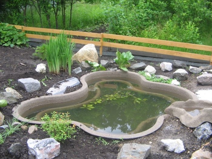 Декоративные водоемы для вашего садового участка
