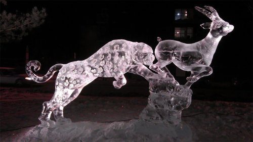 Невероятные ледяные скульптуры от Даррена Джексона