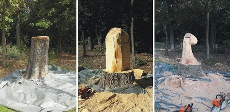 Деревянные чудеса бензопилой от румынского художника