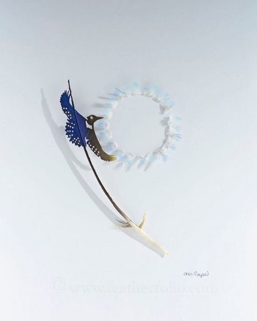 Произведения искусства из перьев от Криса Мейнарда