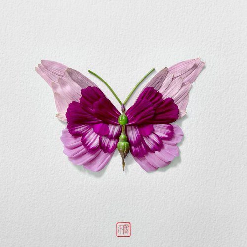 Цветочные бабочки от художника Раку Иноуэ