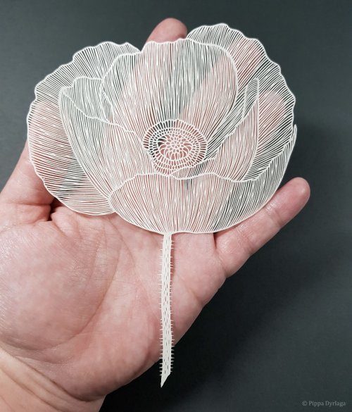 Цветы, вырезанные из бумаги от Пиппы Дирлага