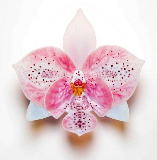 Орхидеи из стекла от Лауры Харт