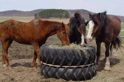 Поделки из старых тракторных шин